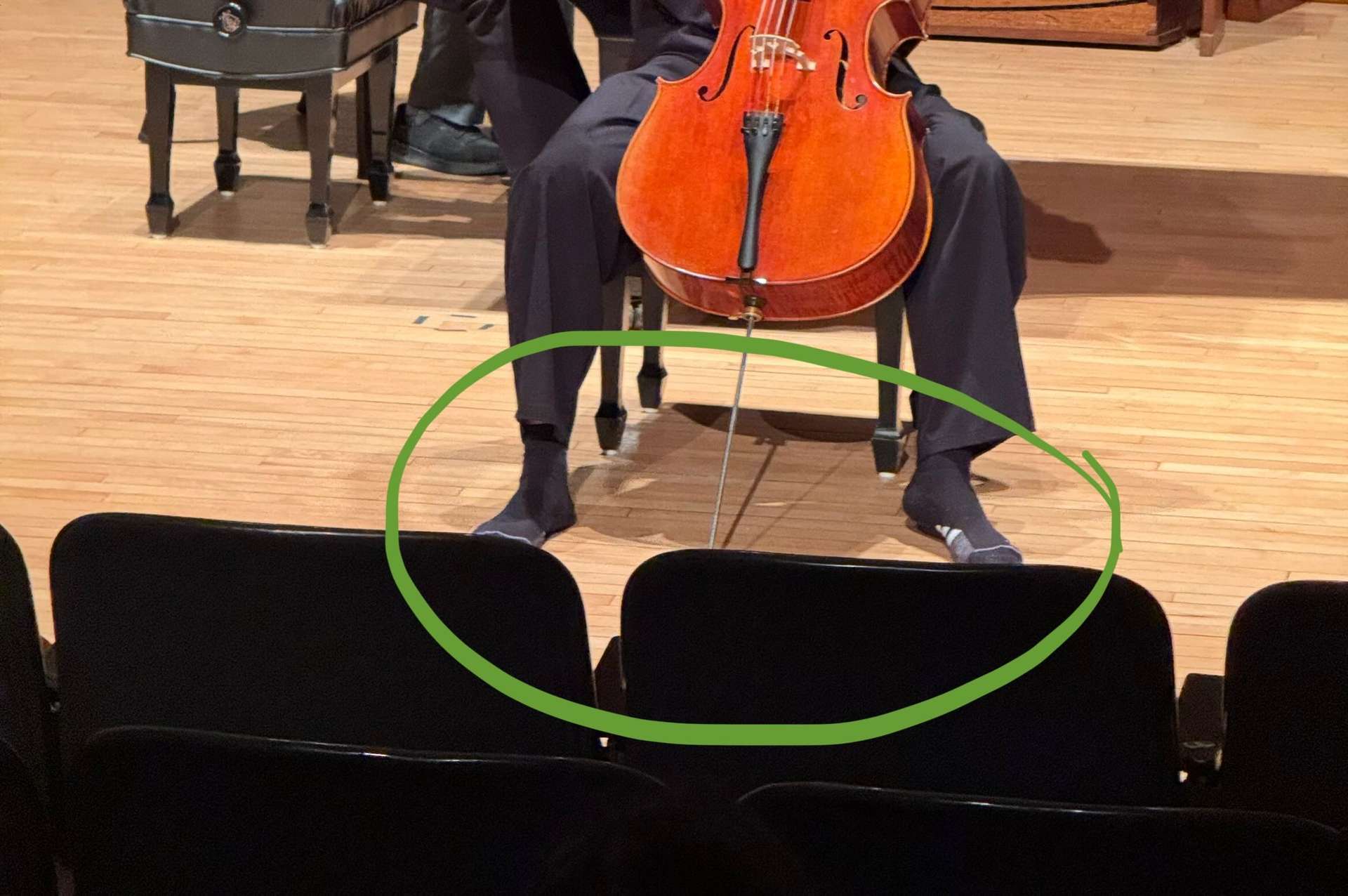 Cello w dawgs