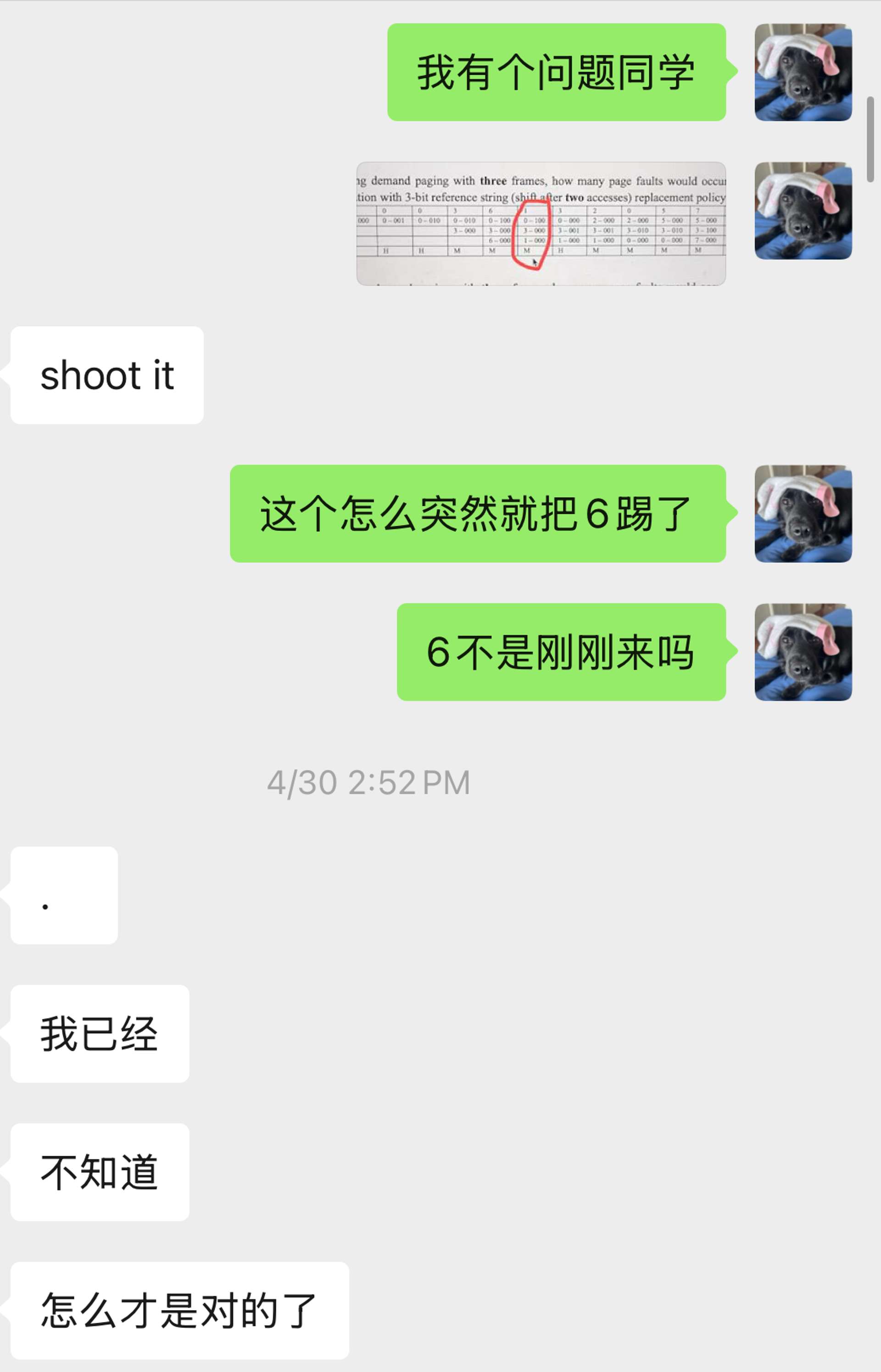 Chat with my bro Ryan