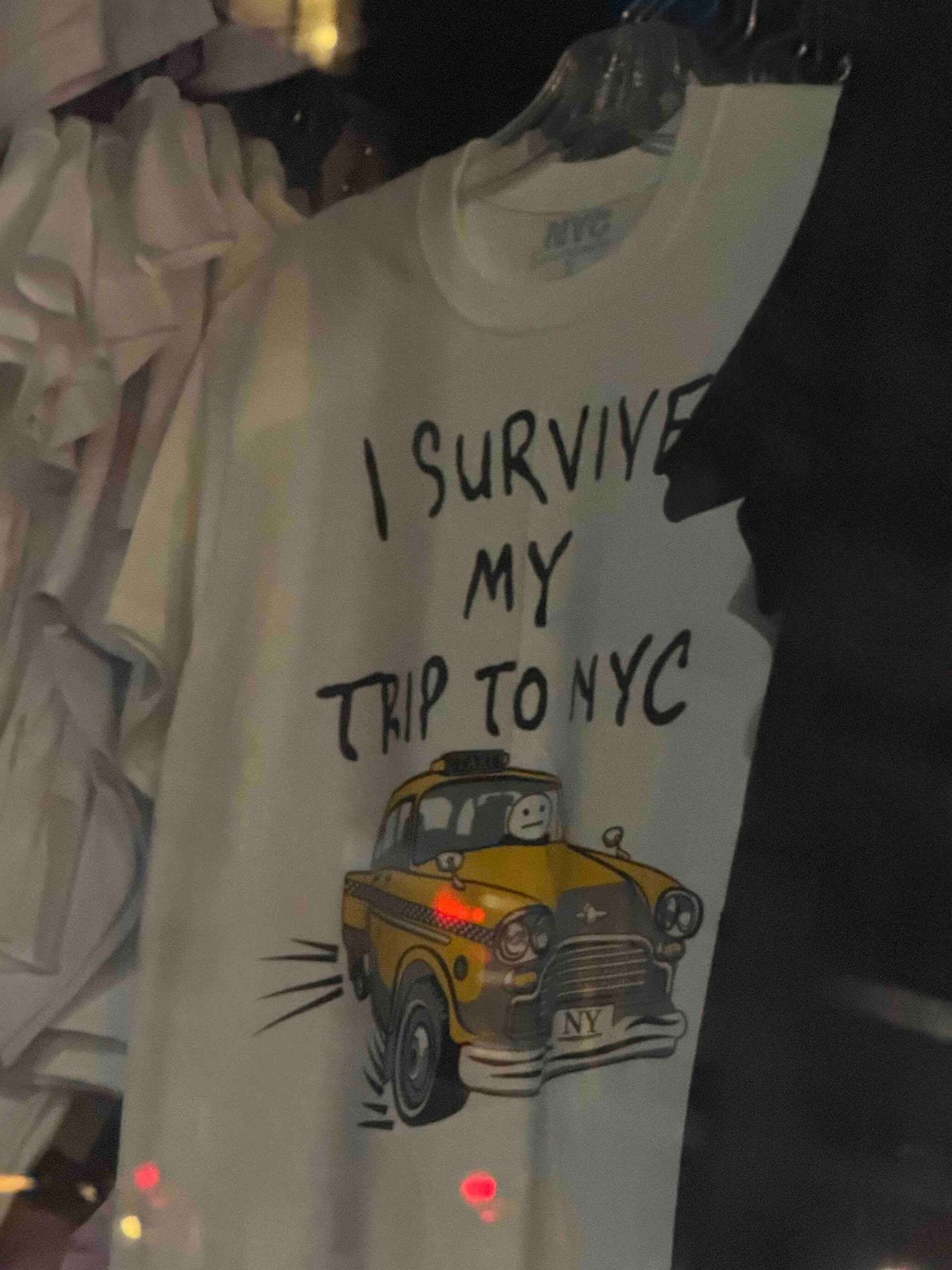 I Survived My Trip To NYC2.0